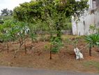 Land for Sale – Jayanthi Road, Athurugiriya