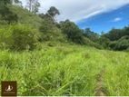 Land For Sale Jeala Kapuwatha (Dsp 854 )