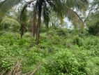 Land For Sale Kaburupitiya Hakmana Thube Road