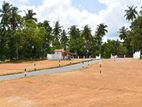 Land For Sale Kadawatha අදිවේගී පිවිසුමට 500m යි නුවර පාරට 300m