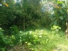 Land for Sale Kadawatha