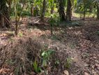 Land for Sale Kadawatha