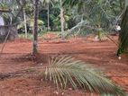 Land for Sale Kadawatha