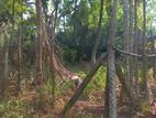 Land for Sale Kadawatha