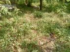 Land for Sale Kadawatha