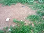 Land for Sale Kadawatha