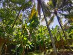 Land for Sale Kadawatha