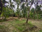 Land for Sale Kadawatha කඩවත