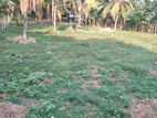 Land For Sale Kadawatha Kirillawala