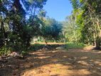 Land for Sale Kadawatha (මීටර් 500)