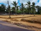 Land for Sale Kadawatha | NR 85