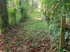 Land for Sale - Kadawatha (ranmuthugala)