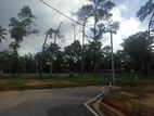 Land for Sale Kadawatha town
