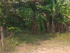Land for Sale Kadawatha Town