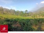 Land For Sale Kadawtha Kiriwila (Dsp 734 )