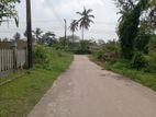 Land for Sale Kadirana Negombo Gampaha