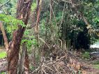 Land for Sale – Kaduruduwa - Gorakana