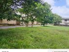 Land for Sale Kaduwala