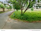 Land for SALE kaduwala