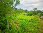 Land for Sale Kaduwela