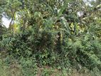 Land for Sale Kaduwela