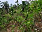 Land for Sale Kaduwela