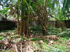 Land For Sale Kaduwela