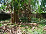 Land For Sale Kaduwela