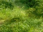 Land for Sale Kaduwela