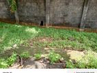 Land for Sale Kaduwela