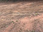 Land For Sale | Kaduwela - Pattiyawatta 20 Perches