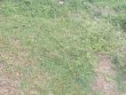 Land for Sale කැලණිය