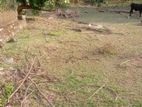 Land for Sale කැලණිය