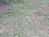 Land for Sale Kajugahawatta