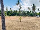 Land for Sale Kakkapalliya