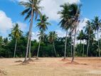 Land for Sale Kakkapalliya
