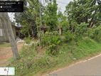 Land for Sale - Kal Eliya, Pasyala 19 Perches