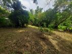 Land for sale kalagedihena