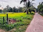 Land for Sale Kalagedihena