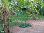 Land for Sale Kalagedihena