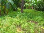 Land for Sale Kalapaluwawa