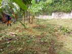 Land for Sale Kalapugama Roda