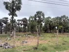 Land for Sale Kalkudah