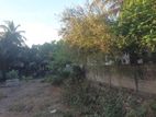 Land for Sale Kallady Batticaloa