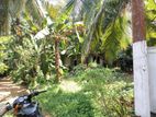 Land for Sale Horana