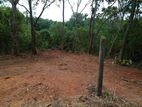 Land for Sale Kalutara - Blue Paradise