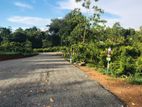 Land for Sale - Kalutara