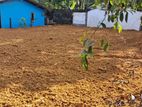 Land for Sale Kalutara