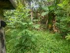 Land for Sale Kalutara