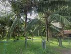 Land for Sale - Kalutara